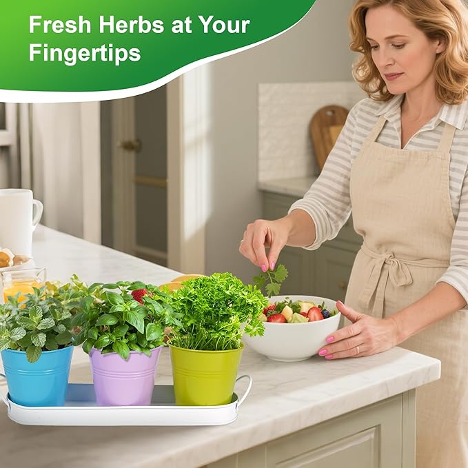 Herb Garden Planter Indoor Kit – 6 Metal Pots with 2 Trays for Windowsill & Kitchen Counter – Modern Decorative Indoor Planters for Herbs, Succulents & Small Plants