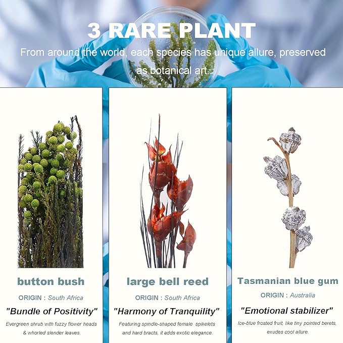 3Pcs Dried Flowers Book Shelf Decor,Boho Shelf Decor,Small Plants Decor for Office Shelves,Natural Forest Green Plants Decor with Wooden Base,Rustic Farmhouse Decor,Unique Gifts for Women,Friends