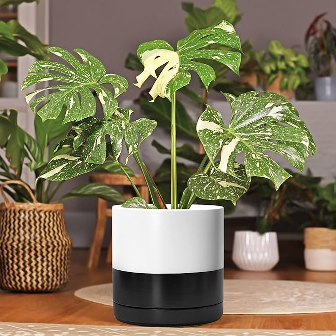 D'vine Dev 10 Inch Ceramic Planter Pot with Drainage Hole and Saucer, Indoor Cylinder Round Planter Pot, Layered Monochrome Black & White, 94-O-E-L
