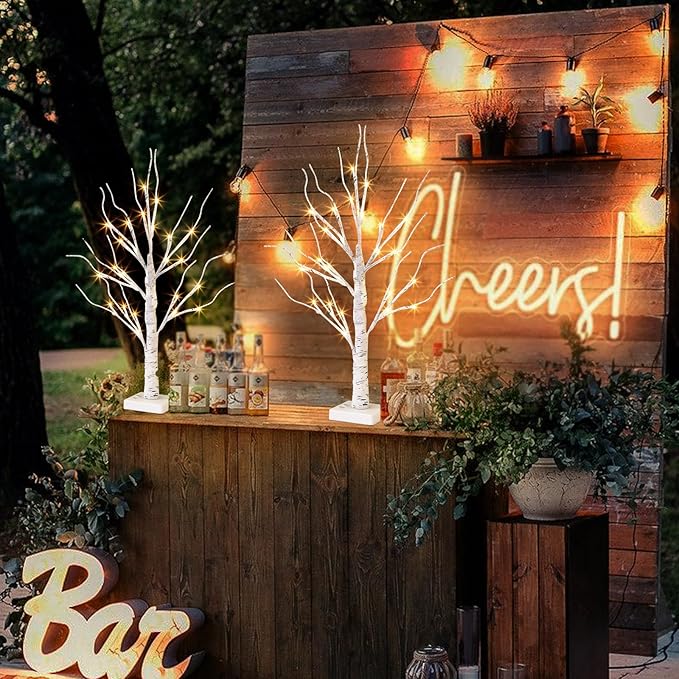 Vanthylit White Birch Tree with LED Lights - Set of 2, Tabletop Tree with Timer, Christmas Decorations Lighted Tree for Indoor Mantel Home Decor (2 FT, 24 LED)