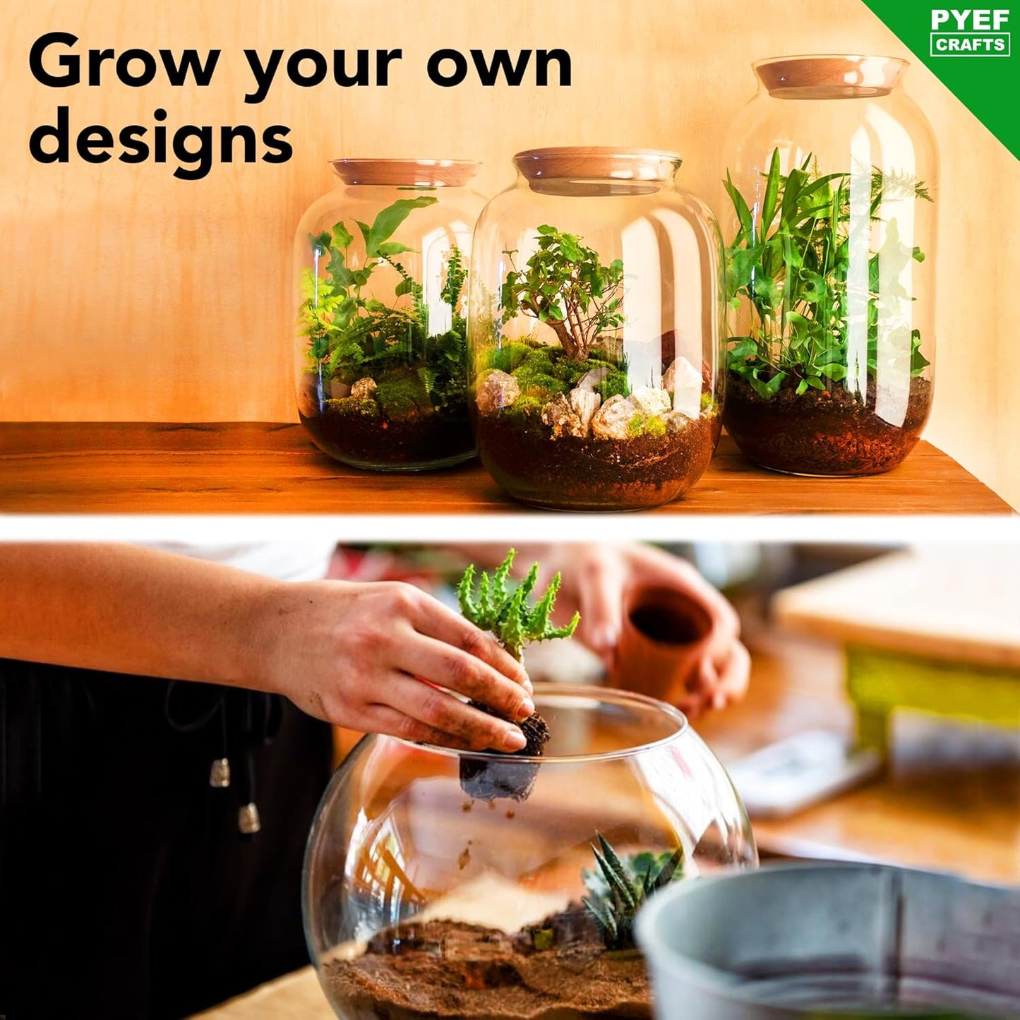 DIY Terrarium Kit for Plants – Build a Self‑Sustaining Closed Ecosystem – Supplies for Up to 68 oz (1‑2 Liter) Glass Jar – Succulents, Air Plants (Tillandsia), Fern – Jar Not Included