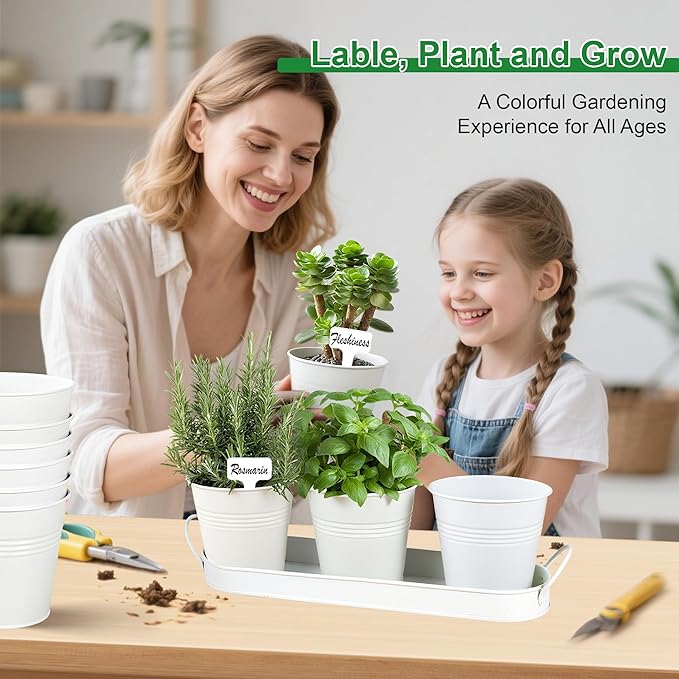Herb Garden Planter Indoor Kit – 6 Metal Pots with 2 Trays for Windowsill & Kitchen Counter – Modern Decorative Indoor Planters for Herbs, Succulents & Small Plants, White