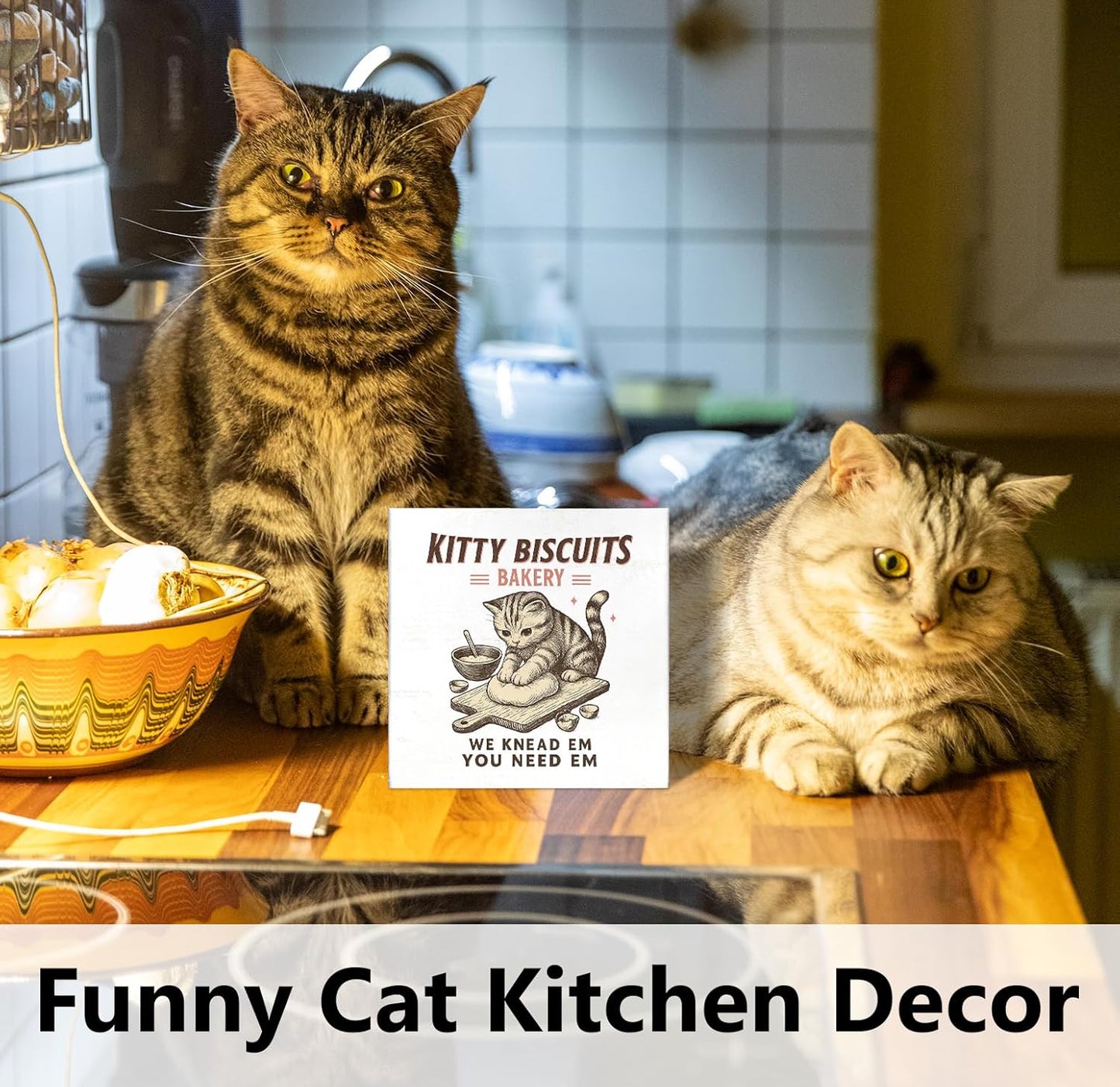 Funny Kitchen Cat Decorations Art Wall Decor Desk Wood Sign for Home, Cute Kitchen Cat Wooden Box Signs, Gifts for Women Cats Lovers, 5x5 inch