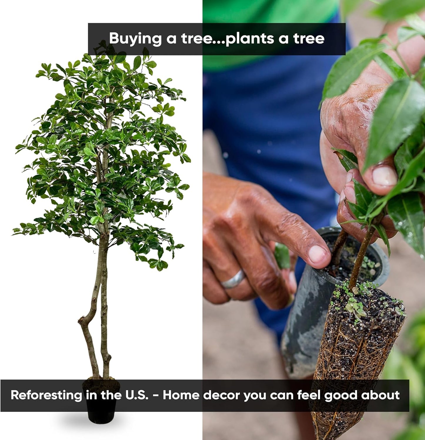 Cypress & Alabaster Handmade 6ft Italian Black Olive Leaf Artificial Tree with Ethically Sourced Real Wood Trunks, Hypoallergenic, 6-Foot, Green