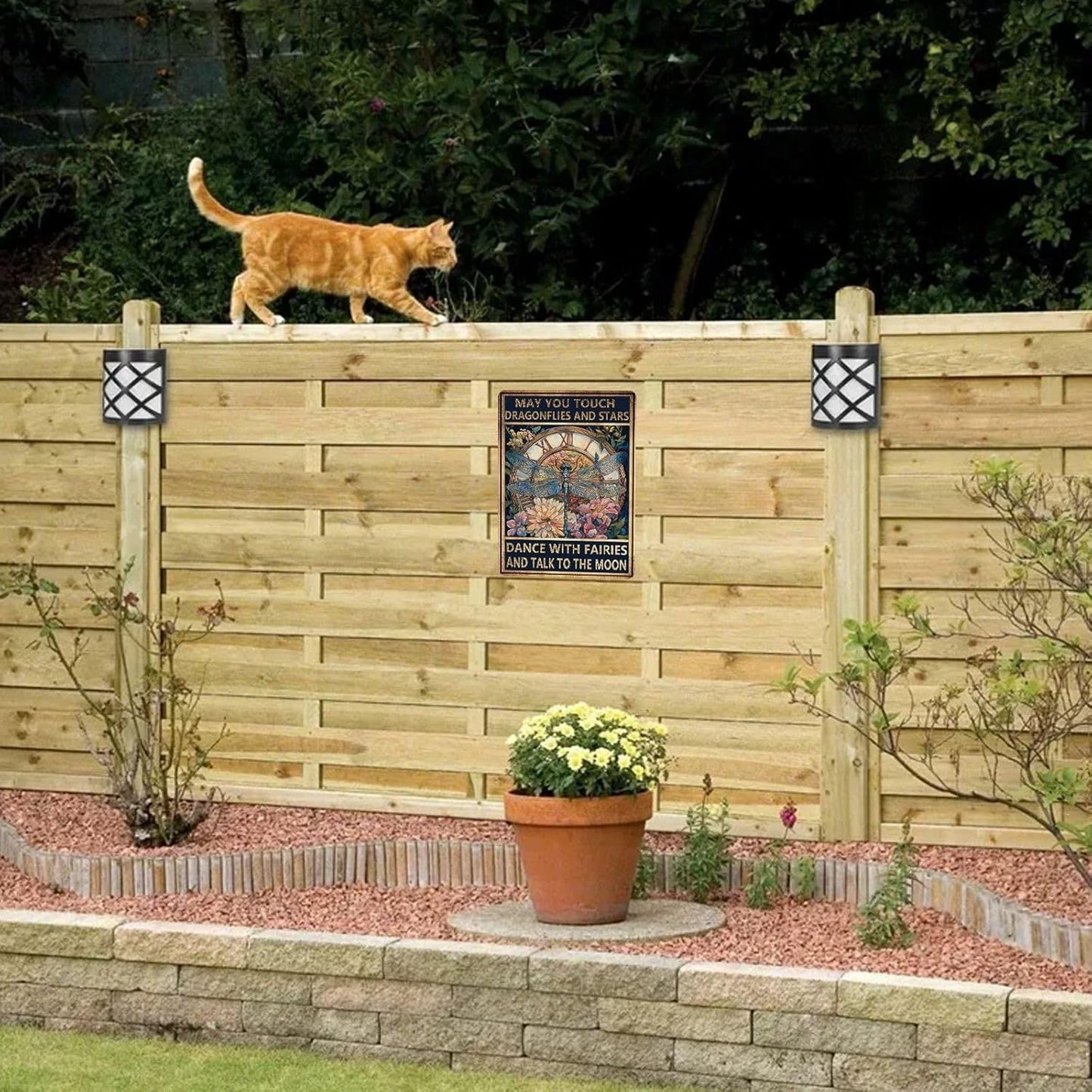 Metal Tin Signs May You Touch Dragonflies and Stars Dance with Fairies and Talk to The Moon Vintage Aluminum Sign Wall Decor for Home Living Room Garden Greenhouse Garage 8×12 Inch