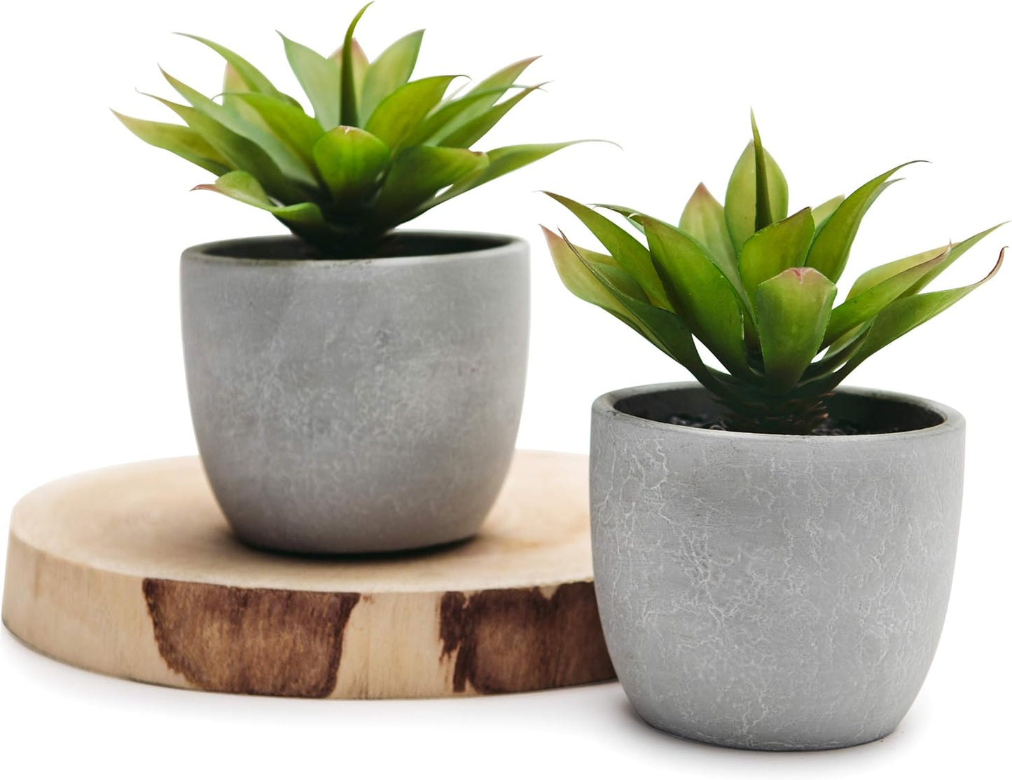 Kurrajong Farmhouse Artificial Plants Indoor | Set of 2 Fake Plants for Desk Decor | Artificial Succulents in pots | Fake Succulents| Faux Plants Indoor | Faux Agave for Shelf Decor