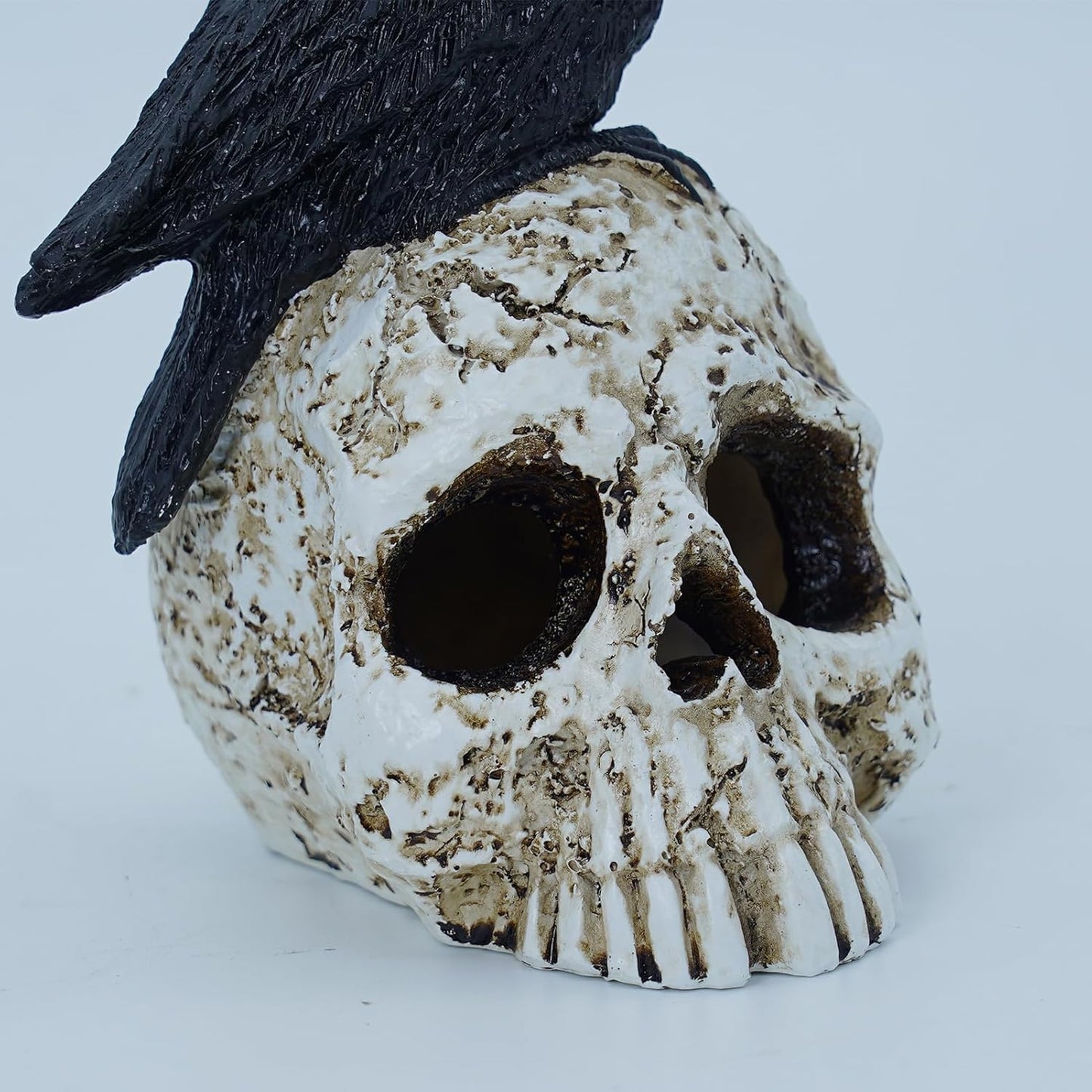 LED Light Raven on Skull Statue - Crow on Skull Figurine Home Decor with LED Light Up Glowing Eyes