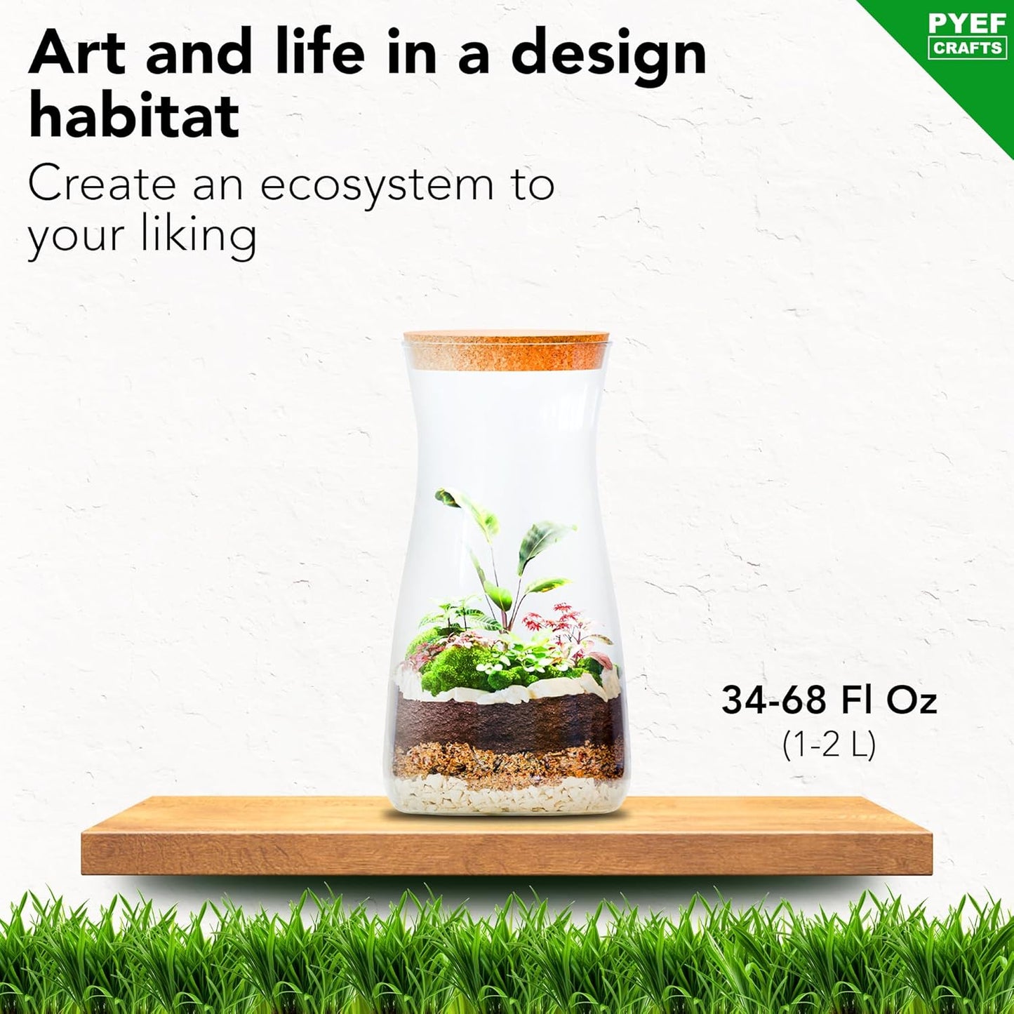 DIY Terrarium Kit for Plants – Build a Self‑Sustaining Closed Ecosystem – Supplies for Up to 68 oz (1‑2 Liter) Glass Jar – Succulents, Air Plants (Tillandsia), Fern – Jar Not Included