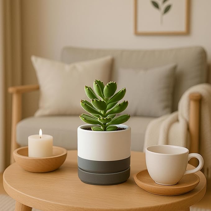 D'vine Dev Set of 2 Plants Pots, 4.7 Inch Ceramic Planter Pot for Plants with Drainage Hole and Saucer, White/Speckled Grey, 94-V-B-6