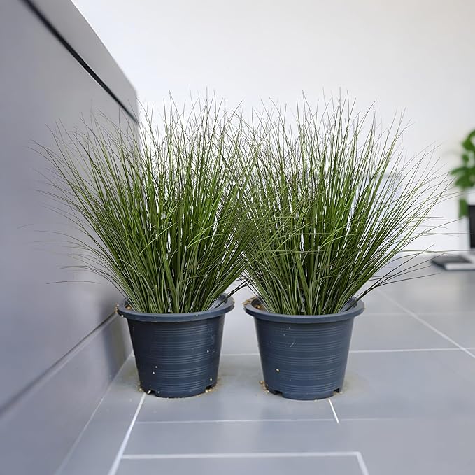 16PCS 17.3" Fake Plants Artificial Wheat Grass Greenery Plastic Plants Fake Grass Artificial Plants for Outdoor Decor Artificial Grass Plant with Greenery Stems for Indoor Home Decoration