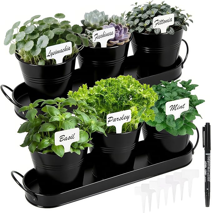 Herb Garden Planter Indoor Kit – 6 Metal Pots with 2 Trays for Windowsill & Kitchen Counter – Modern Decorative Indoor Planters for Herbs, Succulents & Small Plants, Black