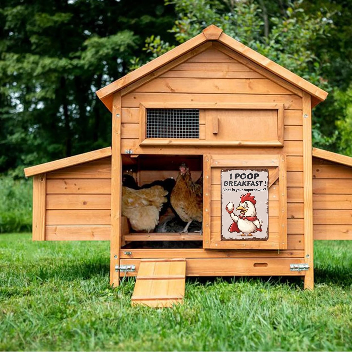 Metal Signs I Poop Breakfast What Is Your Superpower Chicken Farm Sign Vintage Aluminum Sign for Home Office Kitchen Bar Cafe Garden Wall Decor 12x8 Inch