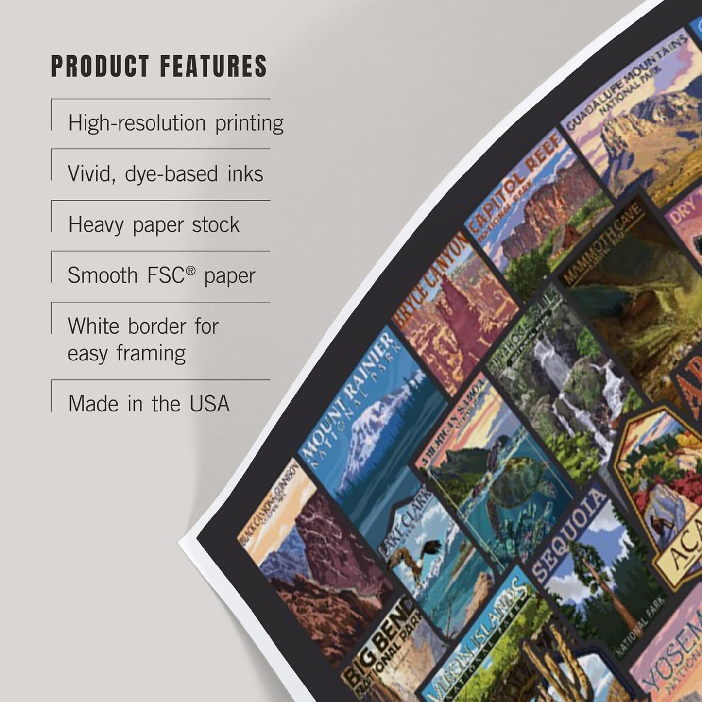 Lantern Press 12x18 Inch Art Print Wall Decor, Protect Our National Parks, Collage