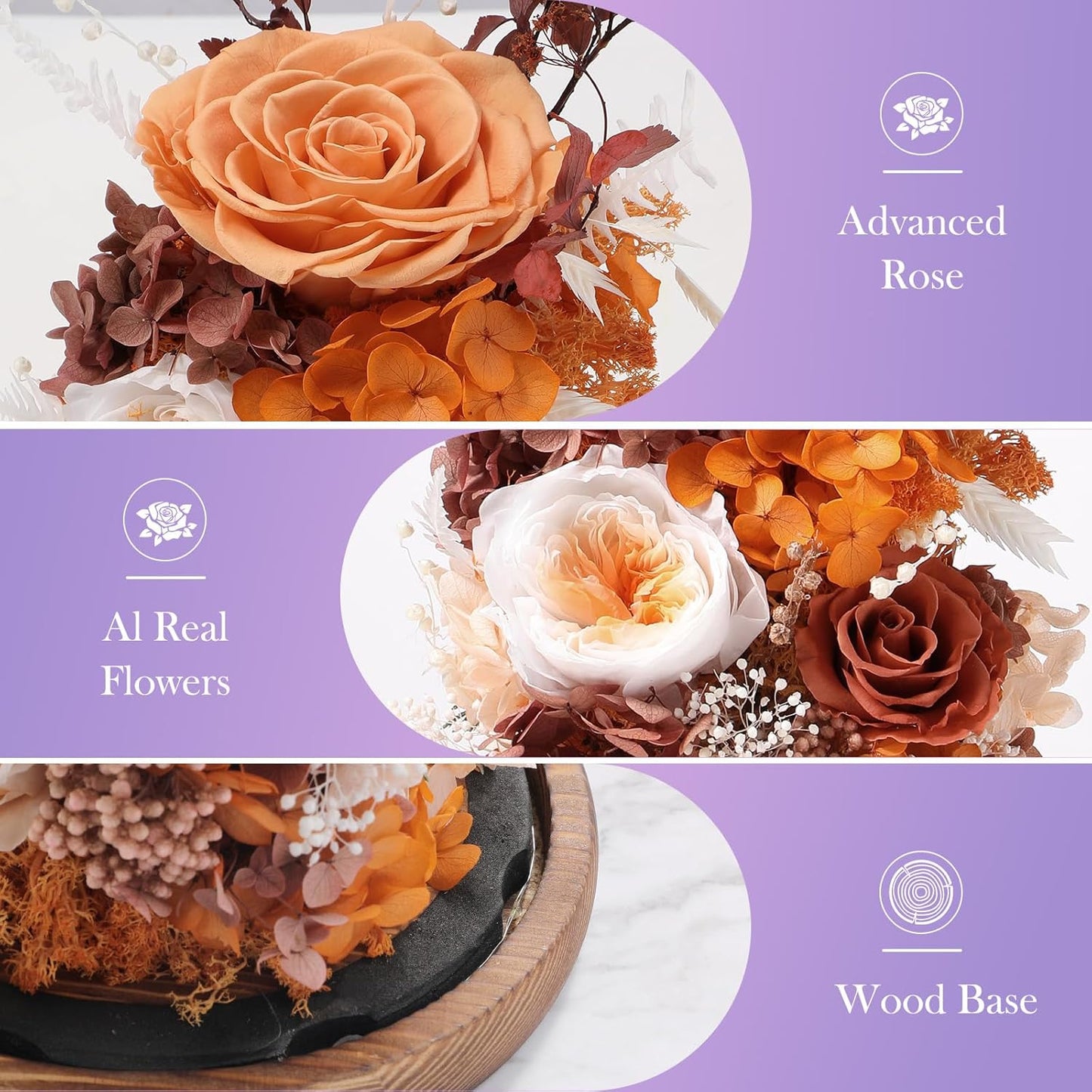 Eternal Rose Sunset Orange Flower Preserved Long Lasting Stable Color Natural Material Symbol of Everlasting Love for Wife Mothers Select Anniversary Rose Gift