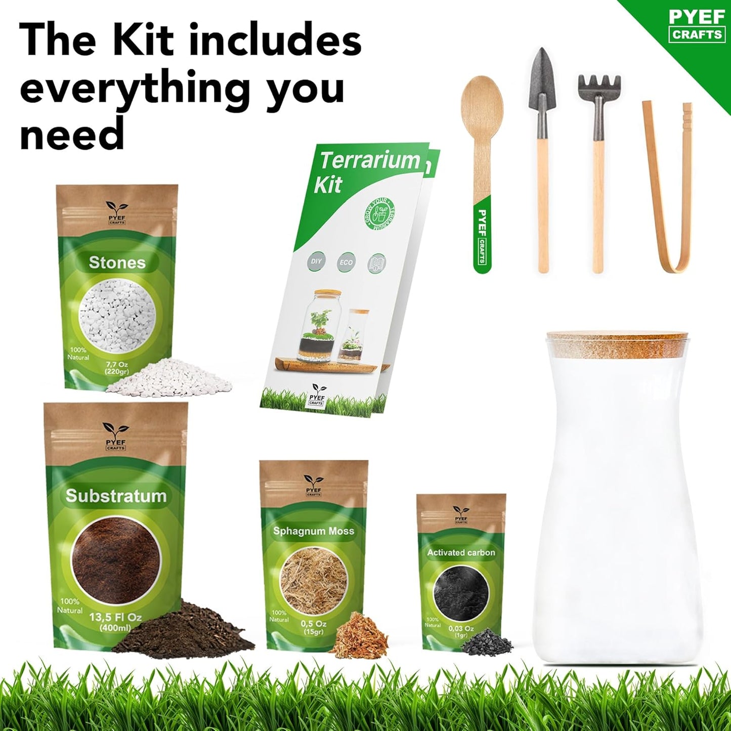 DIY Terrarium Kit for Adults – Build Your Own Self‑Sustaining Closed Ecosystem – 34 fl oz (1‑Liter) Glass Terrarium – Succulents, Air Plants, Fittonia, Fern – Plants Not Included