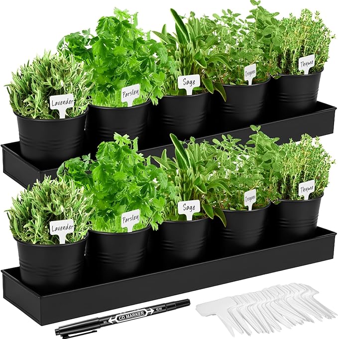 2 Sets Herb Garden Planter Indoor Kit with Trey 10 Pcs Metal Windowsill Plant Pots with Drainage Holes Indoor Herb Planter with Marker and Labels for Home Outdoor Plants (Black)