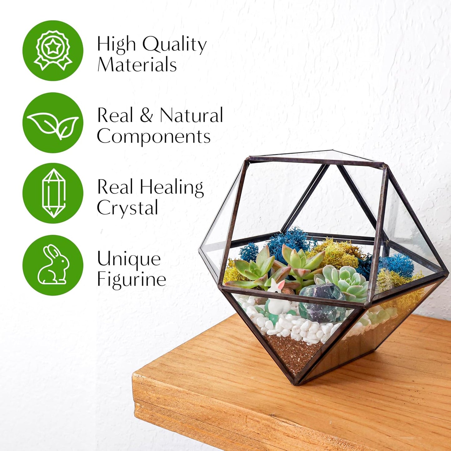 DIY 7" Geometric Terrarium Kit with Live Plants - Build Your Own Glass Terrarium for Adults & Kids with Moss, Crystals, Tools & Decor - Mini Ecosystem - Handcrafted in The USA