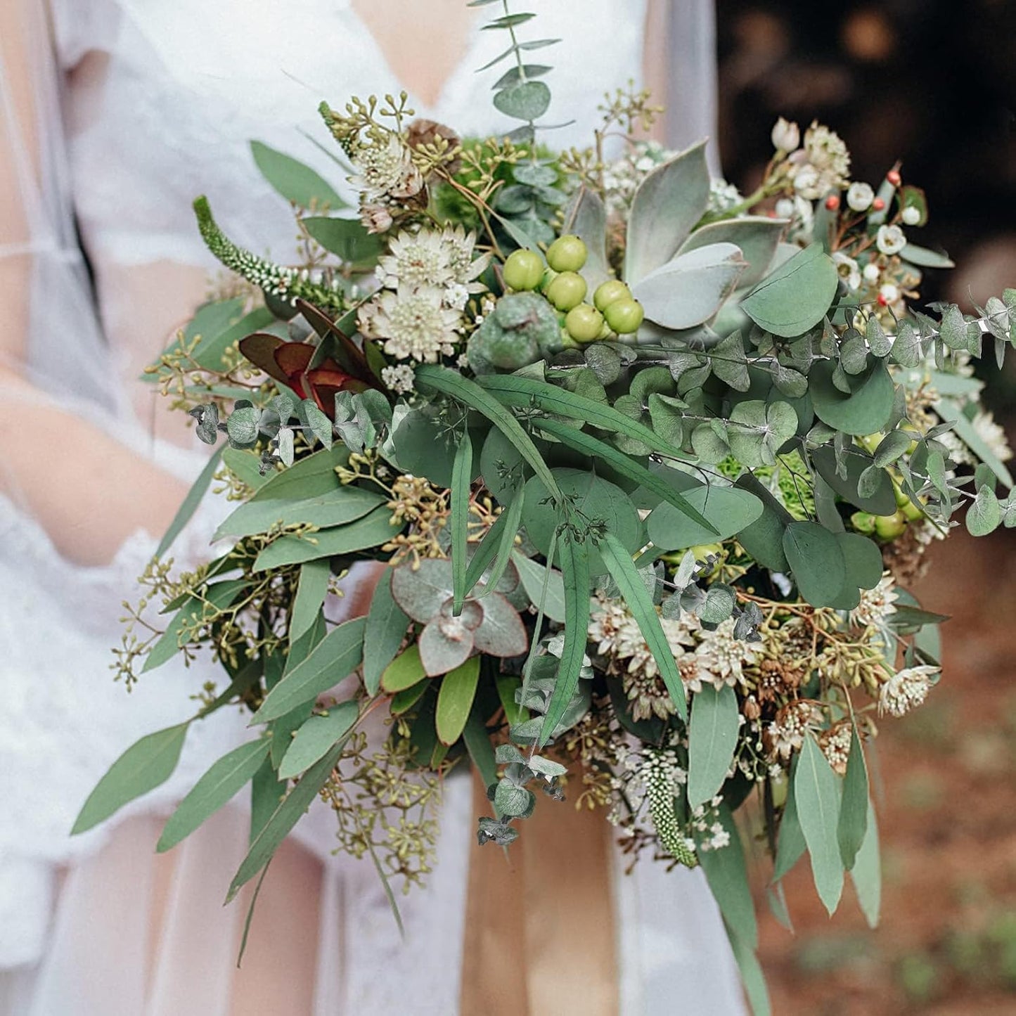 Eucalyptus Stems Mixed Dried Eucalyptus Bundle 15PCS Natural Eucalyptus Stems Greenery Plant for Wedding Bouquet Shower Hanging Home Spring Decoration
