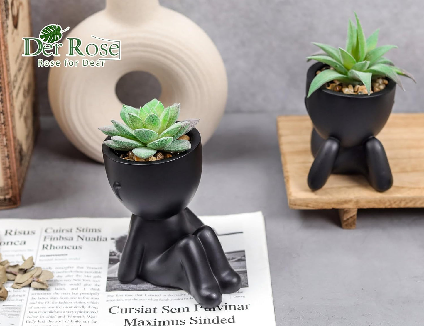Der Rose Set of 2 Fake Plants Artificial Succulent Plants for Office Desk Accessories Black Bathroom Home Room Aesthetic Decor Indoor