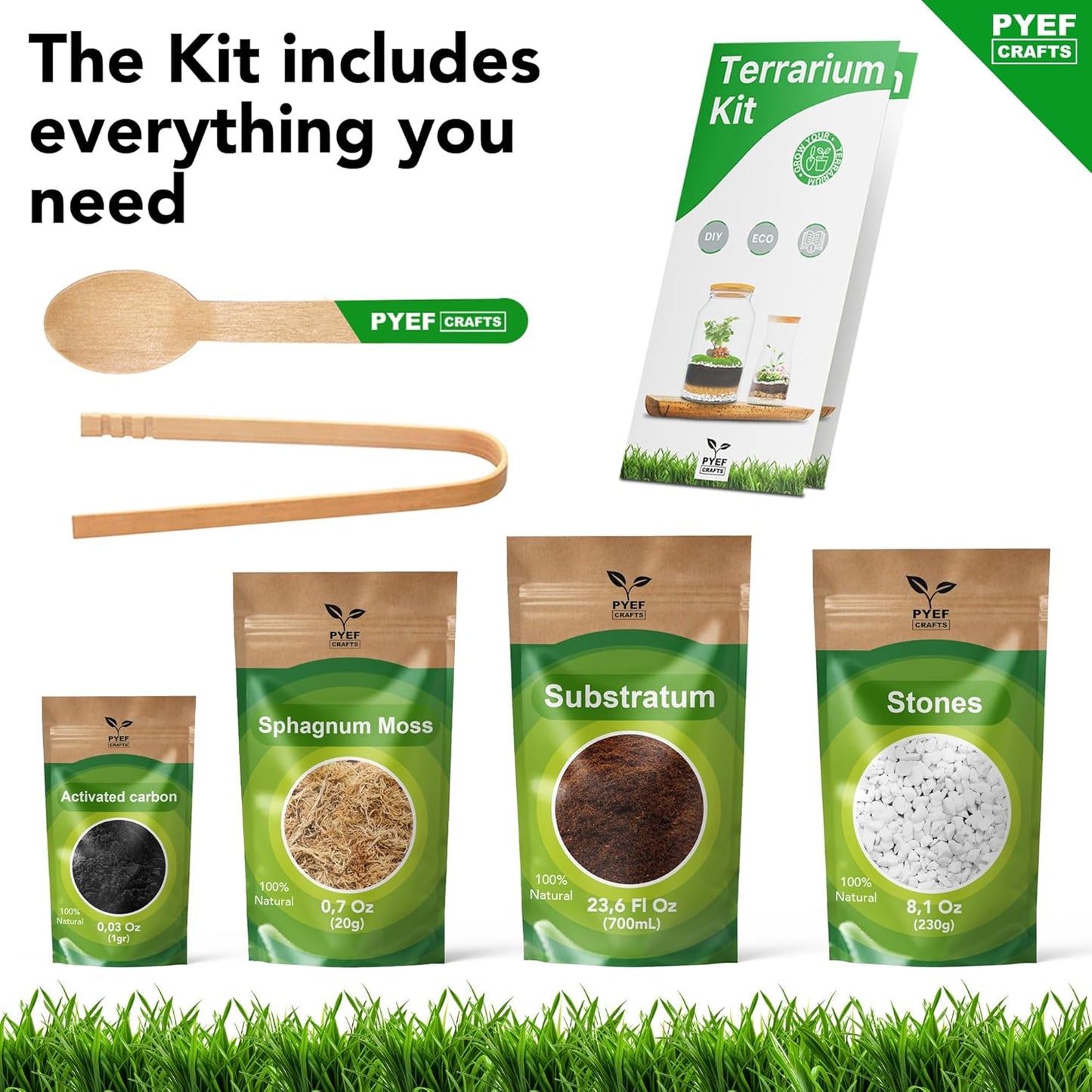 DIY Terrarium Kit for Plants – Build a Self‑Sustaining Closed Ecosystem – Supplies for Up to 68 oz (1‑2 Liter) Glass Jar – Succulents, Air Plants (Tillandsia), Fern – Jar Not Included