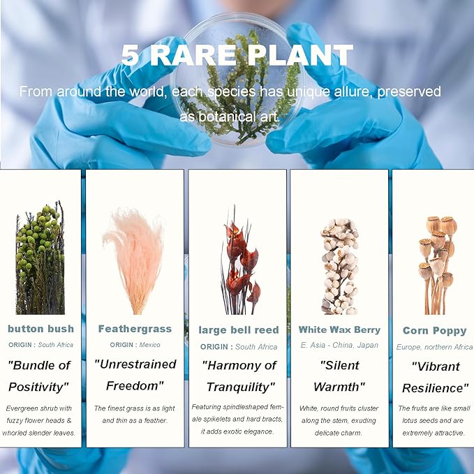 5Pcs Dried Flowers Book Shelf Decor,Boho Shelf Decor,Small Plants Decor for Office Shelves,Natural Forest Green Plants Decor with Wooden Base,Rustic Farmhouse Decor,Unique Gifts for Women,Friends