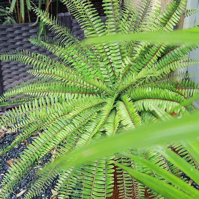 Velener 36 Inch Artificial Boston Fern Large Hanging Plant, Fake Fern Plants Bush Indoor for Home Decor, Faux Plants Outdoor, Garden, Office, Garden Decoration(Green)