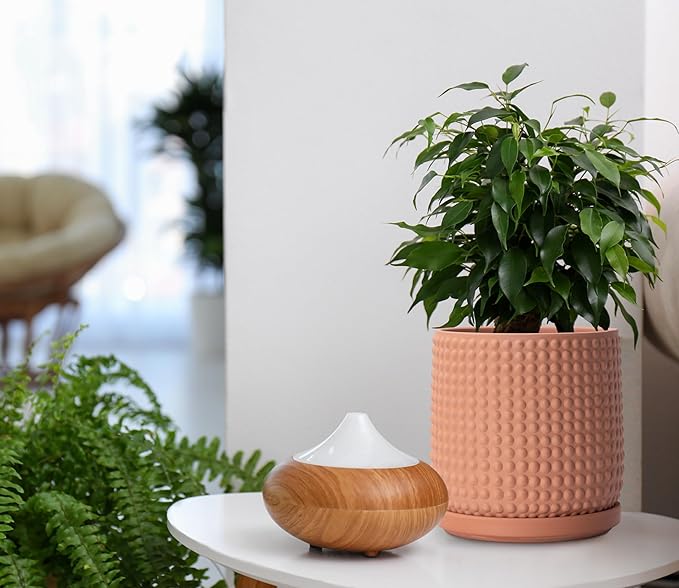 D'vine Dev Set of 2 Ceramic Plants Pots, 6 Inch Beaded Stoneware Flower Pot for Plants with Drainage Hole and Saucer, Terracotta, 27-E-X-7