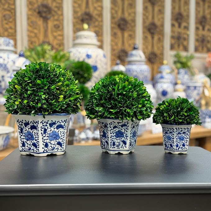 Galt International 11" Naturally Preserved Real Boxwood Ball in Hand-Painted Blue & White China Pot Planter Green Indoor Plant Home Decor (11" Tall Topiary)