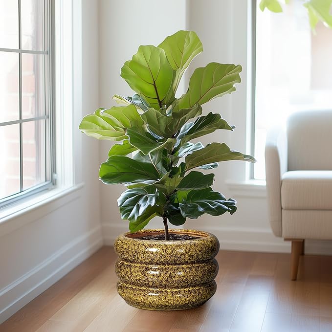 SQOWL Ceramic Pots for Plants - 13.5 Inch Ceramic Planter for Indoor Plants, Large Plant Pots with Drainage Hole, Round Flower Pot Outdoor, Bubble Planter, Room Decor, Gifts for Plant Lover, Yellow