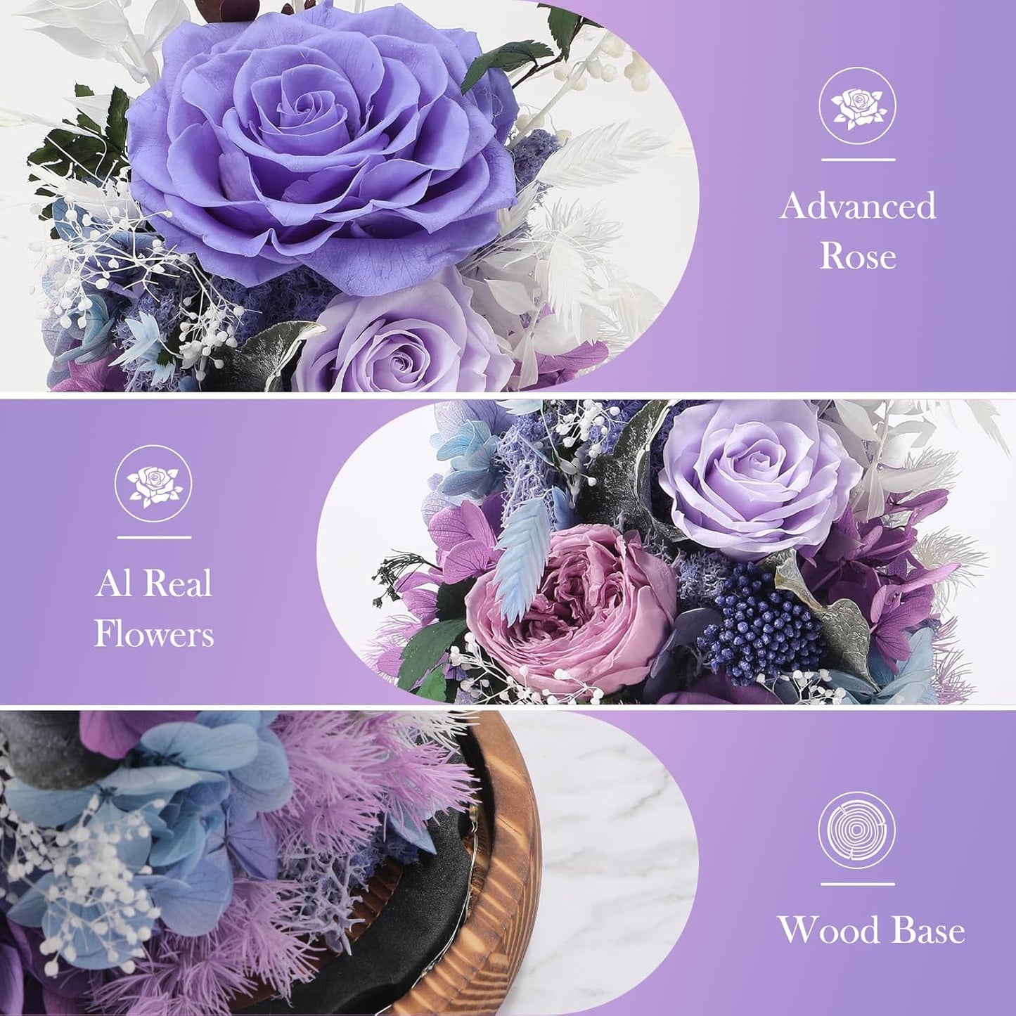 Eternal Rose Lilac Purple Flower Preserved Long Lasting Stable Color Natural Material Symbol of Everlasting Love for Wife Mothers Select Anniversary Rose Gift Birthday Present