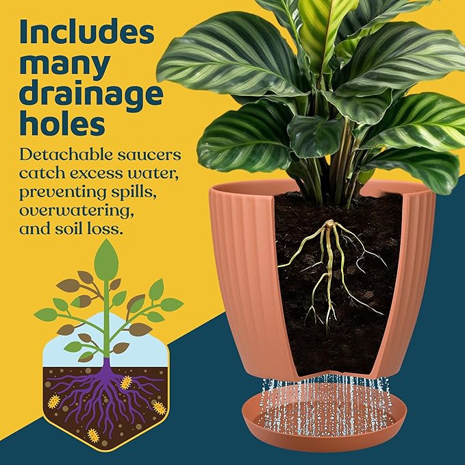 Terracotta 6-Inch Plant Pots with Drainage & Saucers 12 Pack, Indoor & Outdoor Planters for Houseplants, Herbs, and Flowers, Durable & Weatherproof Material, Stackable, Lightweight, Minimalist Design