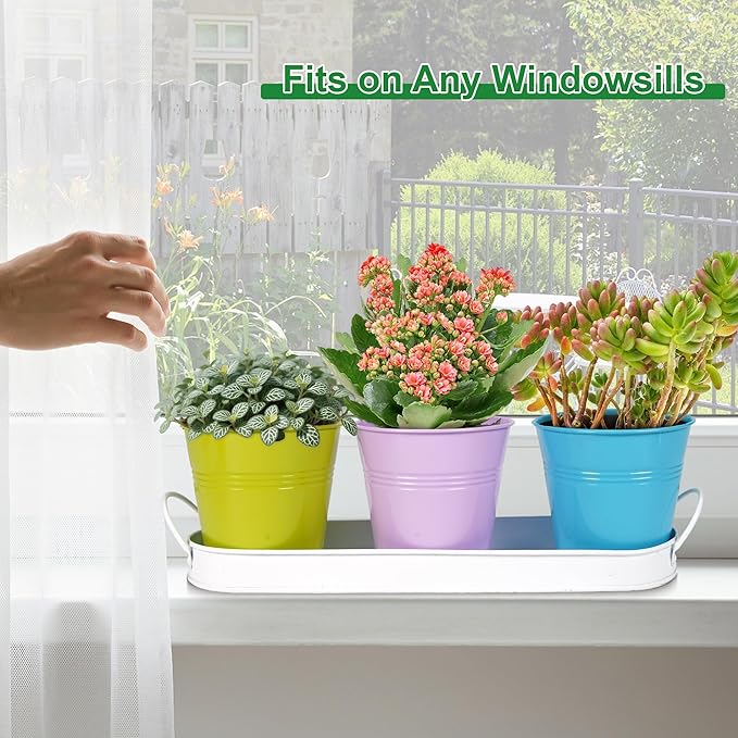 Herb Garden Planter Indoor Kit – 6 Metal Pots with 2 Trays for Windowsill & Kitchen Counter – Modern Decorative Indoor Planters for Herbs, Succulents & Small Plants