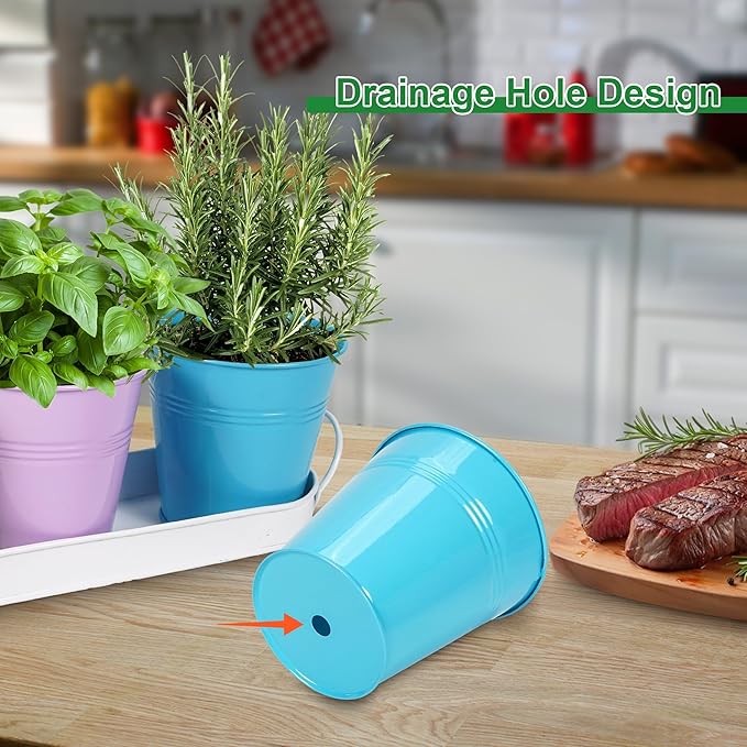 Herb Garden Planter Indoor Kit – 6 Metal Pots with 2 Trays for Windowsill & Kitchen Counter – Modern Decorative Indoor Planters for Herbs, Succulents & Small Plants