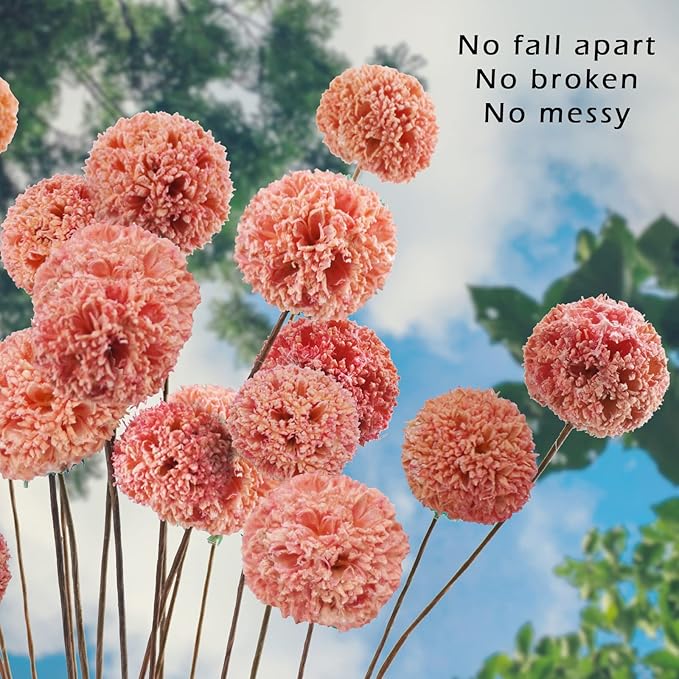24 PCS Dried Craspedia Billy Balls Flowers, 18” Natural Dried Flowers Bouquet for Vase Floral Arrangements Wedding Table Centerpieces Party DIY Home Decor (Pink)