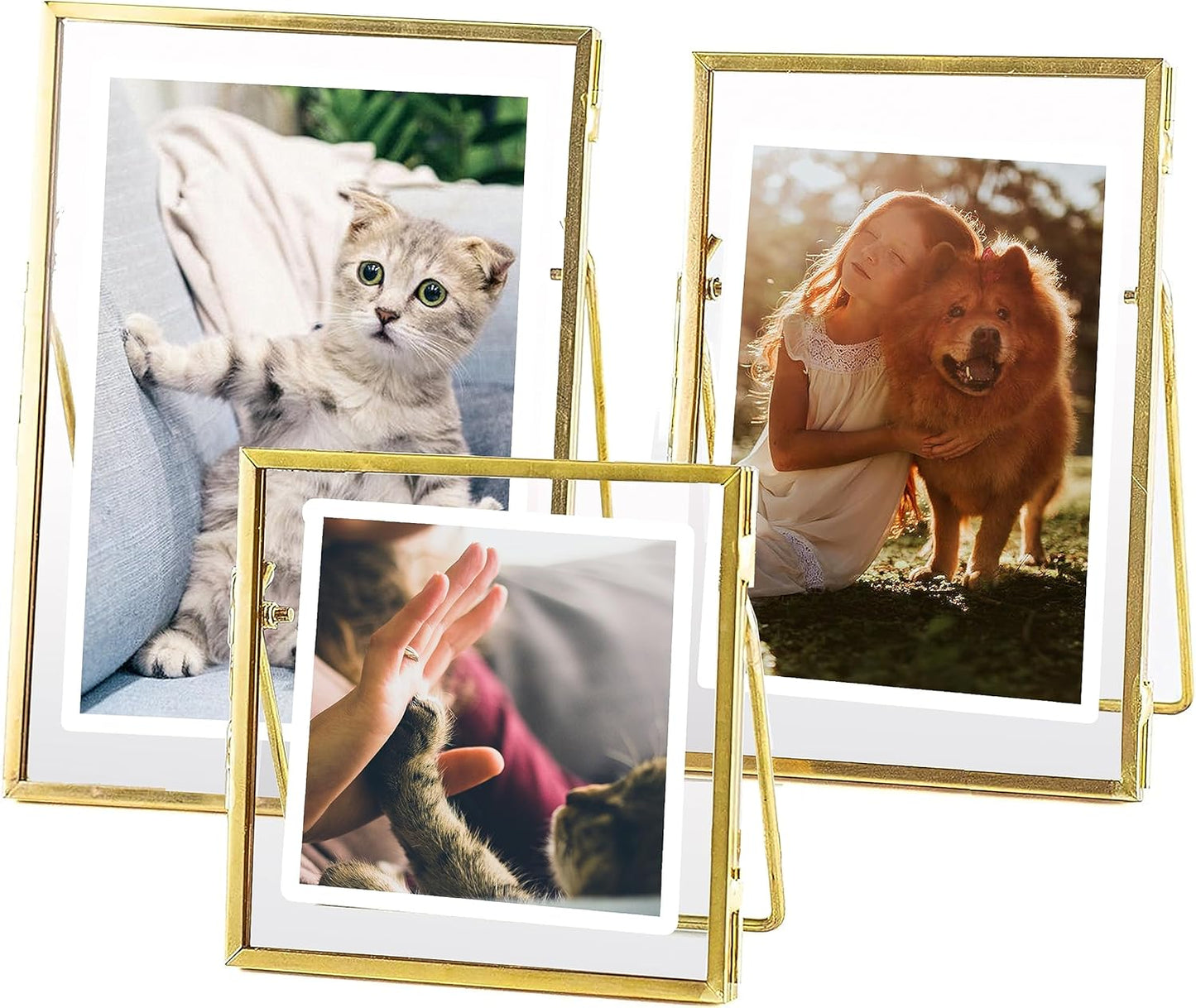 Gold Picture Frame - 4x6 Antique Brass Postcard Picture Frame for Desk - Small Pressed Glass Frame for Pressed Flowers - Floating Vertical (3 different sizes (4 * 4, 4 * 6, 5 * 7))