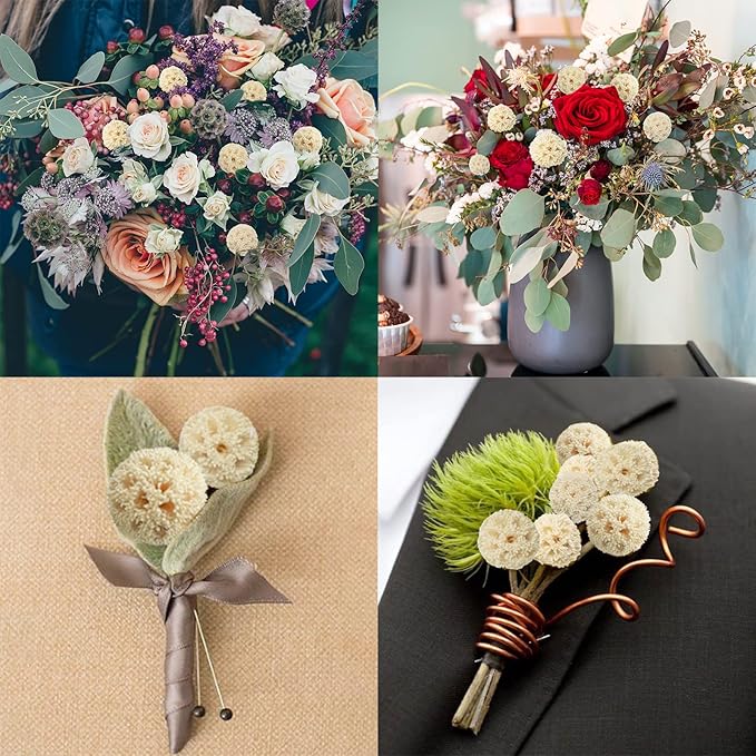 24 PCS Dried Craspedia Billy Balls Flowers, 18” Natural Dried Flowers Bouquet for Vase Floral Arrangements Wedding Table Centerpieces Party DIY Home Decor (White)