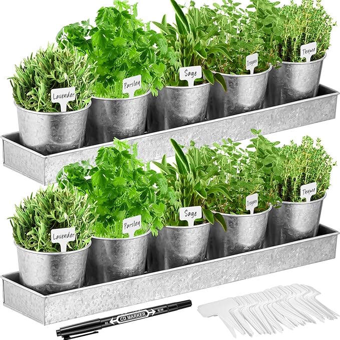 2 Sets Herb Garden Planter Indoor Kit with Trey 10 Pcs Metal Windowsill Plant Pots with Drainage Holes Indoor Herb Planter with Marker and Labels for Home Outdoor Plants(Silver)