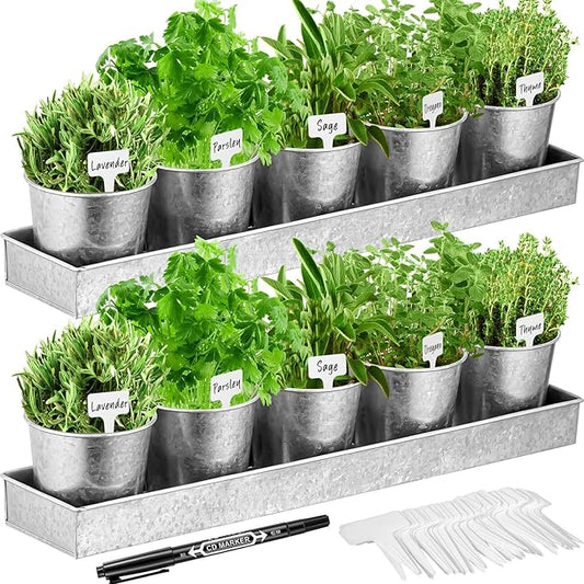2 Sets Herb Garden Planter Indoor Kit with Trey 10 Pcs Metal Windowsill Plant Pots with Drainage Holes Indoor Herb Planter with Marker and Labels for Home Outdoor Plants(Silver)