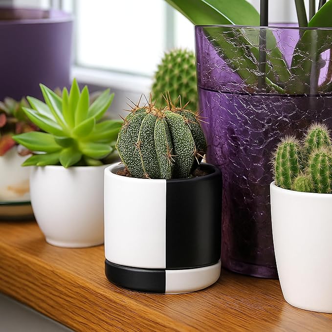 D'vine Dev 3.5 Inch Ceramic Planter Pot with Drainage Hole and Saucer, Indoor Cylinder Round Planter Pot, Split Monochrome Black & White, 94-O-A-0