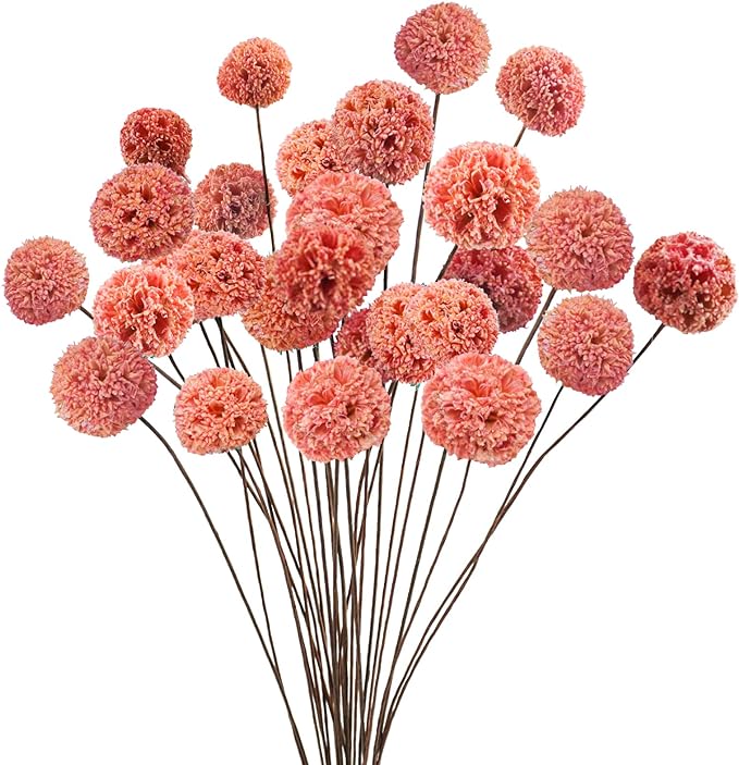 24 PCS Dried Craspedia Billy Balls Flowers, 18” Natural Dried Flowers Bouquet for Vase Floral Arrangements Wedding Table Centerpieces Party DIY Home Decor (Pink)