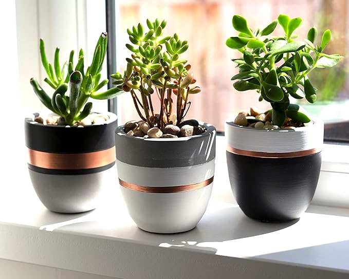PASENITY Hand Painted Indoor Plant Pots, Set of 3 Modern Cement Succulent Pots with Drainage, Best Planters for Cactus, Herbs, Great Office & Home Gift Idea (Plants NOT Included), 3.5 Inch