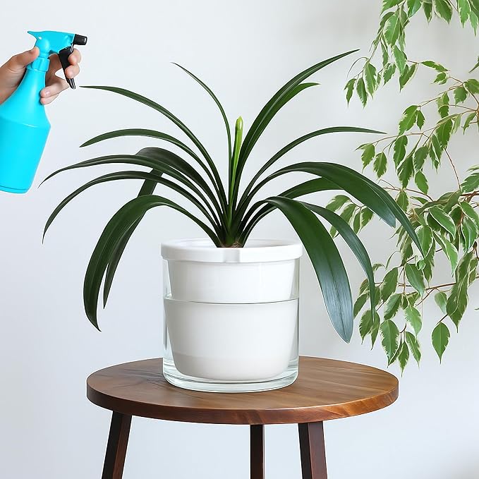 D'vine Dev 10 Inch Design Self Watering Planter for Indoor Plants, White Terracotta Pots with Cylinder Glass Cup, 37-X-D-2