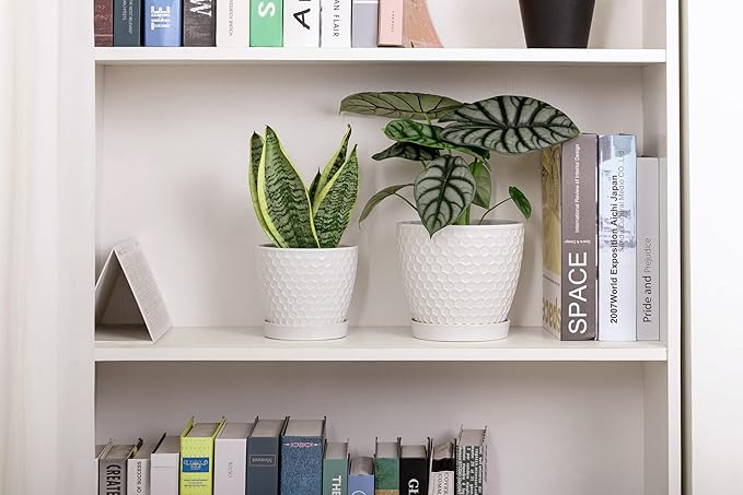 Docrin Ceramic Plant Pots Indoor, 6.6 + 5.5 Inch Flower Pots with Drainage Holes and Saucer for Plants, Set of 2, Milky White Honeycomb