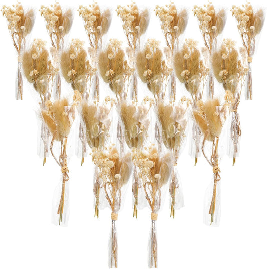 Mini Dried Baby's Breath Flowers Gypsophila Bouquets Natural Branches Dog Tail Bunny Rabbit Tail Dried Bulk Flowers Plants for Vase Home Decoration Photo Props Parties Weddings DIY Craft (20)