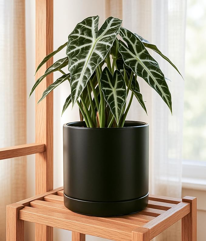 D'vine Dev Set of 2 Plants Pots, 10 Inch Ceramic Planter Pot for Plants with Drainage Hole and Saucer, Black, 94-V-E-2