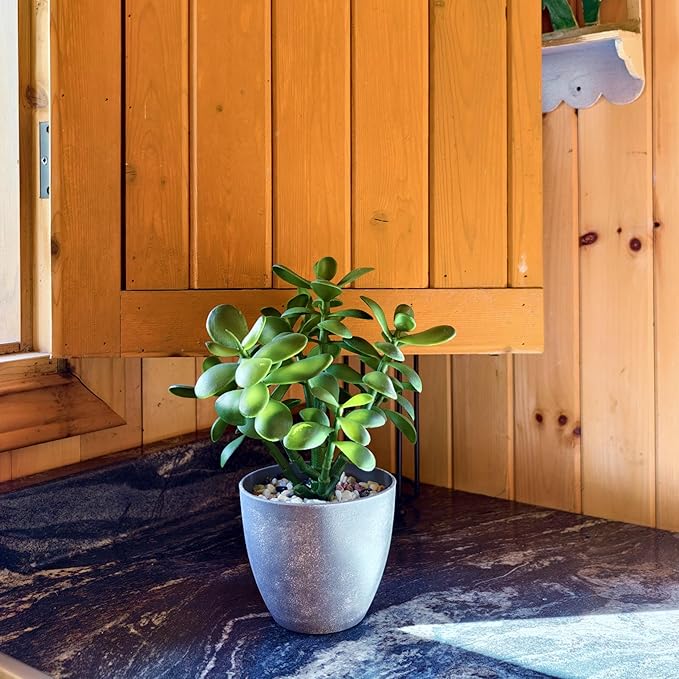 365 Blooming Decor Artificial Jade Plant 12 inch in Gray Pot for Home, Office Decor, Money Tree, Crassula ovata (Gray Pot, 12 inch)