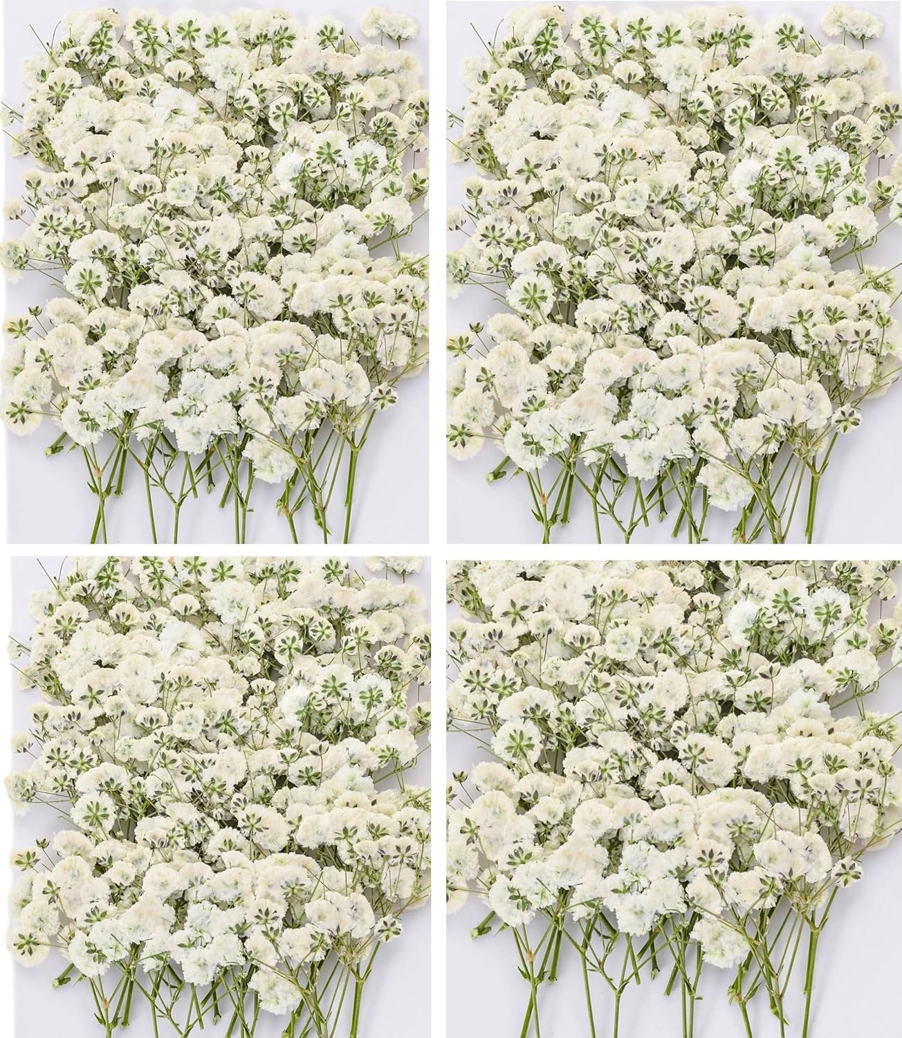 Dried Baby' s Breath Flowers Bulk - 120Pcs Pressed Babys Breath for Invitations, Resin Art & DIY Crafts, Natural White Baby Breath with Green Stem for Wedding Cards, Nail Art, Scrapbook
