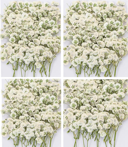 Dried Baby' s Breath Flowers Bulk - 120Pcs Pressed Babys Breath for Invitations, Resin Art & DIY Crafts, Natural White Baby Breath with Green Stem for Wedding Cards, Nail Art, Scrapbook