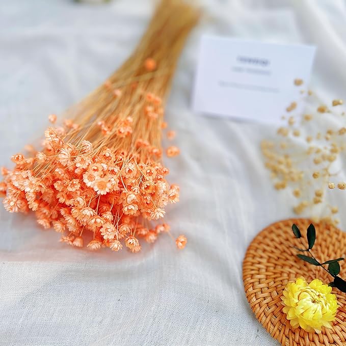 200 Stems Natural Dried Flowers Brazilian Small Star Daisy Dried Decorative Mini Chamomile Bouquet for Wedding Floral Arrangements Home Decorations Valentine's Day Gifts (Orange)