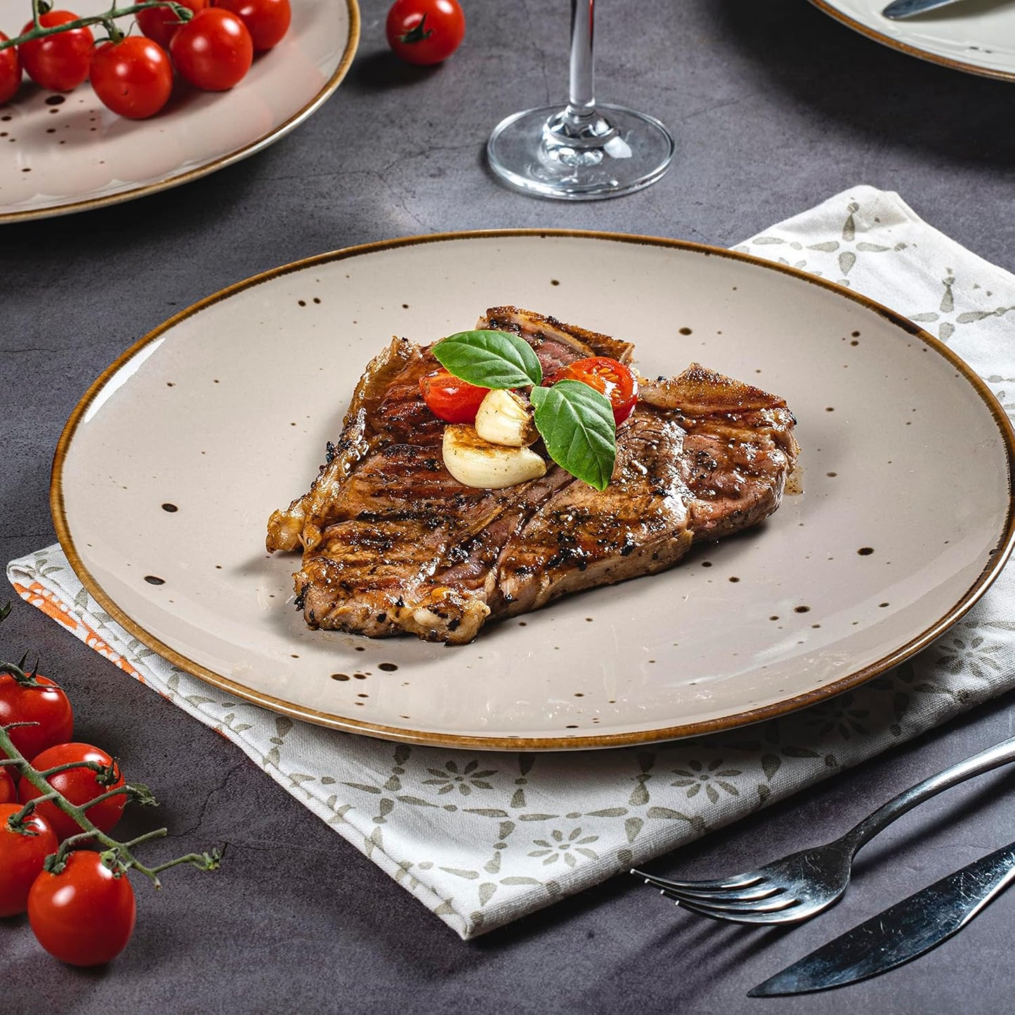 Dinner Plates 11 Inch Set of 6 - Microwave, Oven, Dishwasher Safe, Scratch-Resistant, Porcelain Dishes for Steak, Pizza, Home & Restaurant, Party, Giftable - Natural Assorted Colors